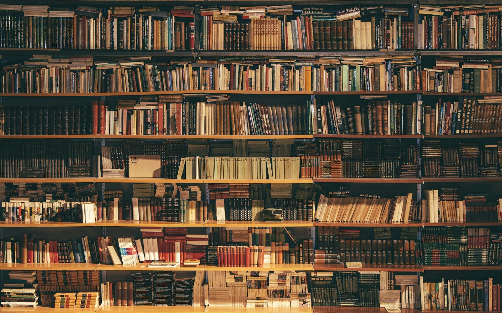 Library shelves filled with research books and reference volumes